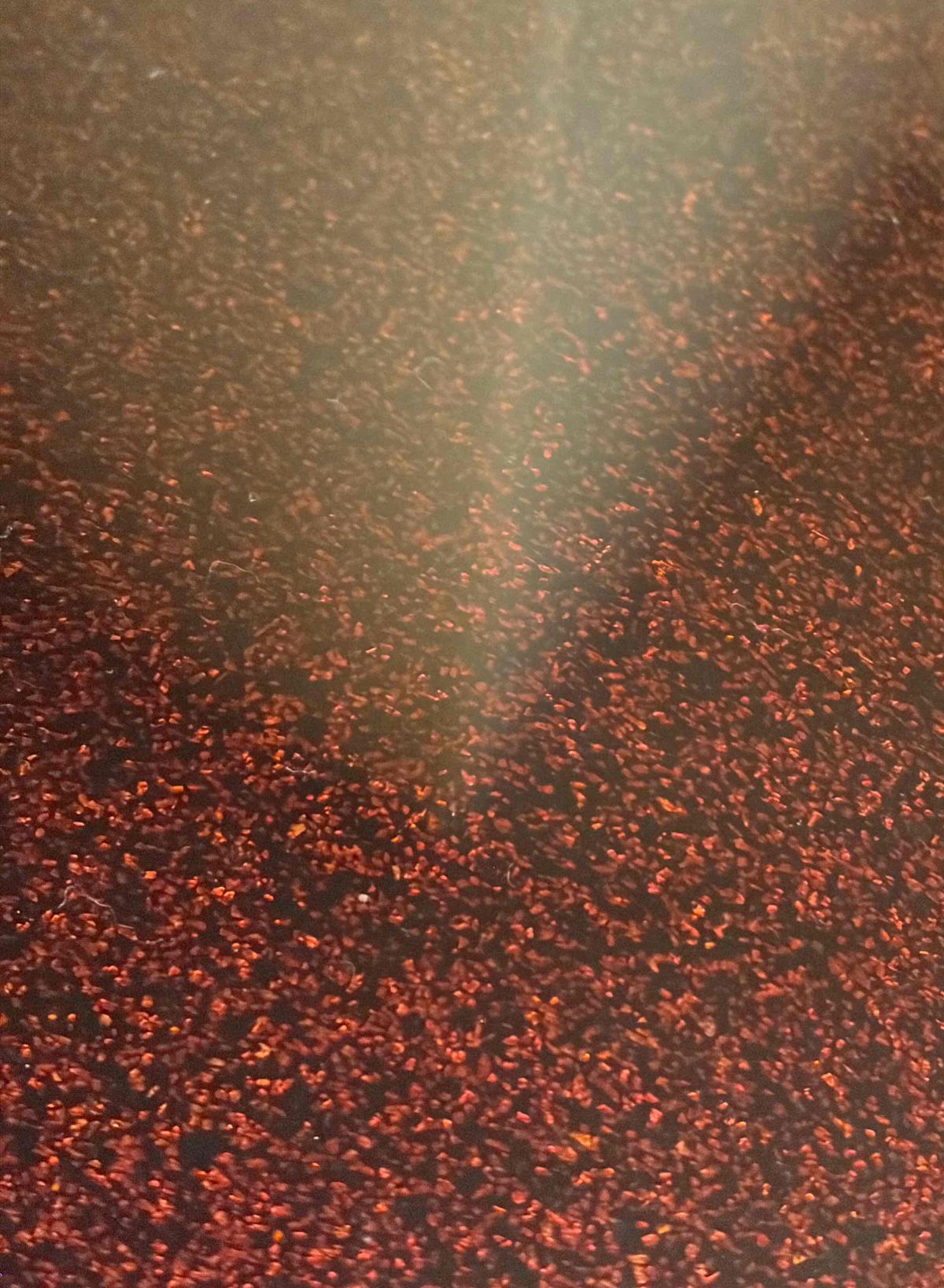 金砂粉塗り